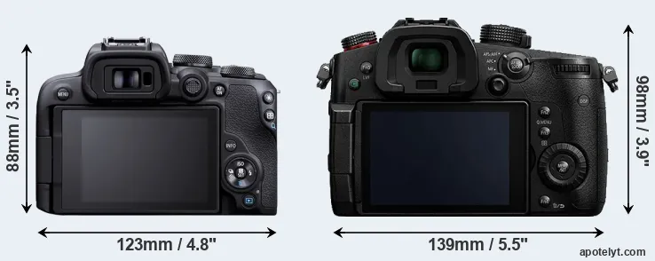 Comparison R10 or GH5s rear