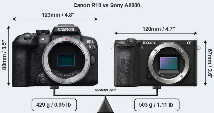 Size Canon R10 vs Sony A6600