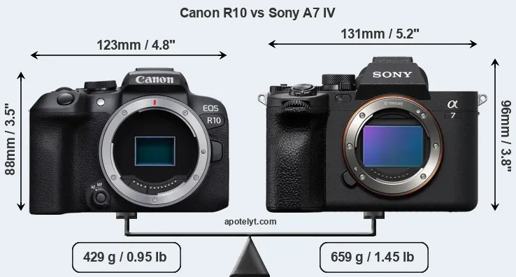 Size Canon R10 vs Sony A7 IV