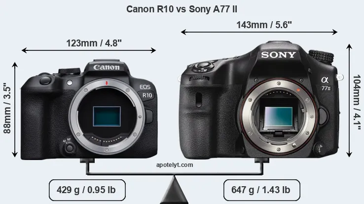 Size Canon R10 vs Sony A77 II