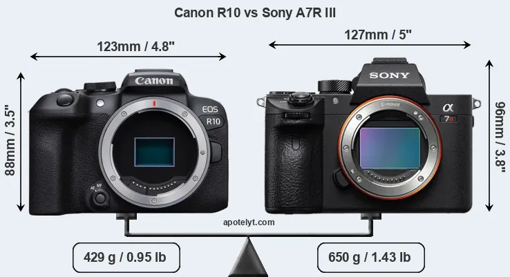 Size Canon R10 vs Sony A7R III