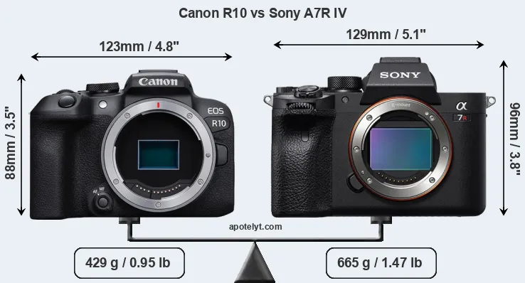 Size Canon R10 vs Sony A7R IV