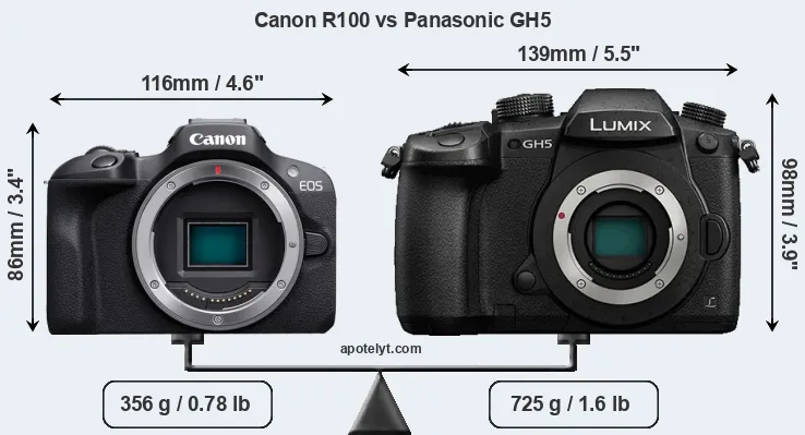 Size Canon R100 vs Panasonic GH5