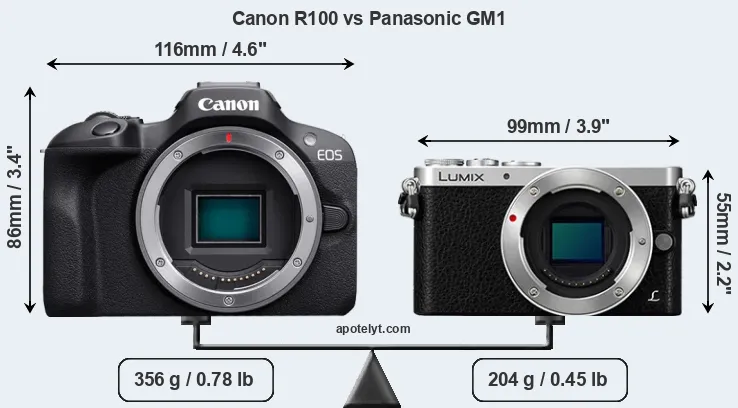 Size Canon R100 vs Panasonic GM1