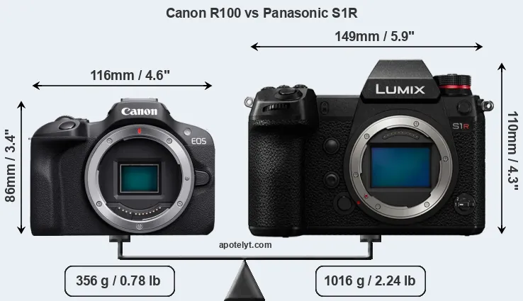 Size Canon R100 vs Panasonic S1R