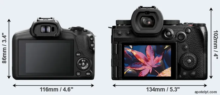 Comparison R100 or S5 II rear