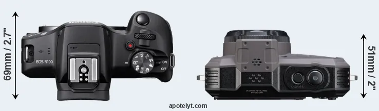 Compare R100 versus WG-1000 top