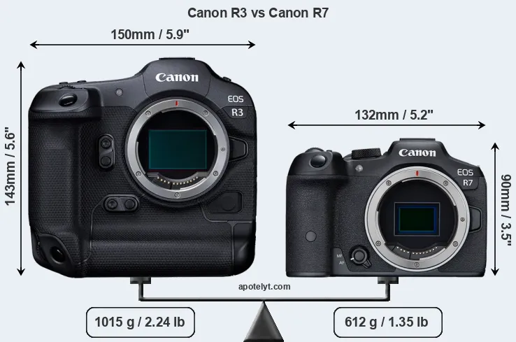 Size Canon R3 vs Canon R7
