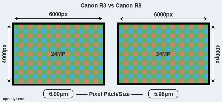 R3 versus R8 MP