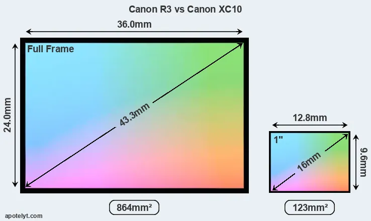 Canon R3 and Canon XC10 sensor measures