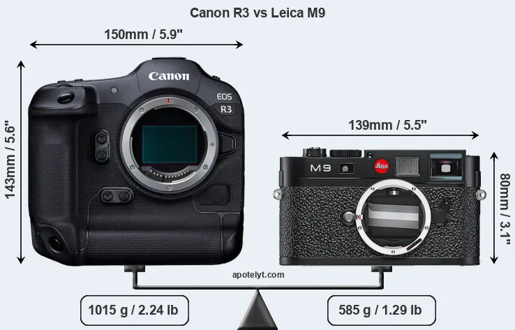 Size Canon R3 vs Leica M9