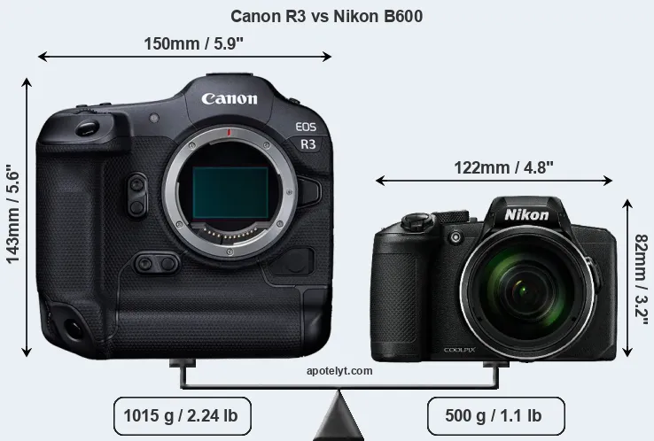 Size Canon R3 vs Nikon B600