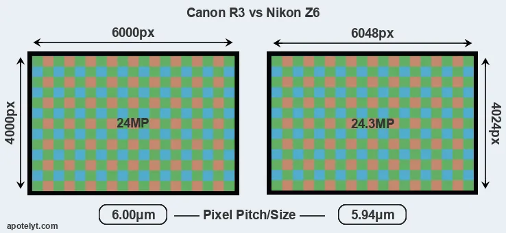 R3 versus Z6 MP