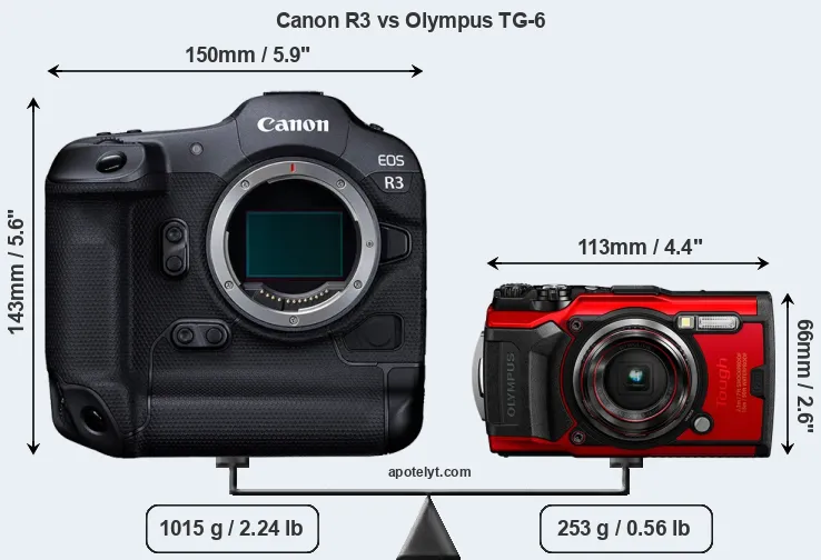 Size Canon R3 vs Olympus TG-6