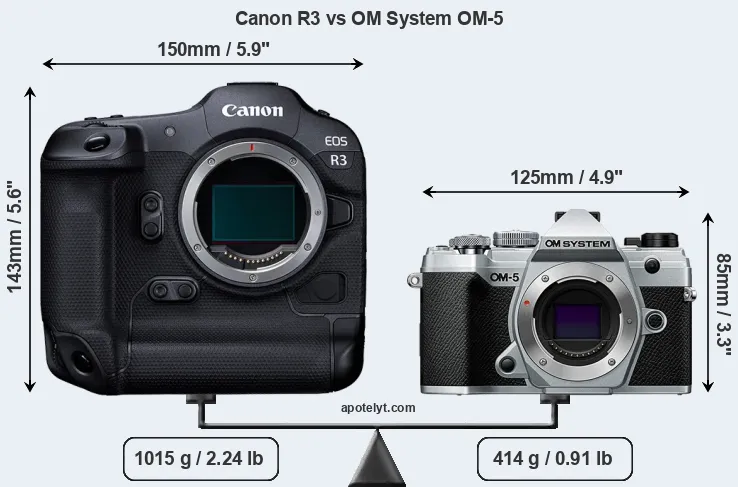 Size Canon R3 vs OM System OM-5