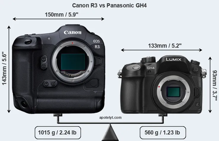 Size Canon R3 vs Panasonic GH4