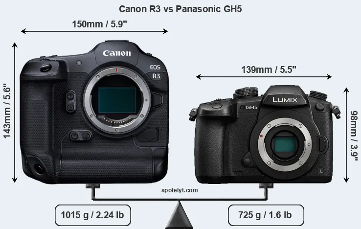 Size Canon R3 vs Panasonic GH5