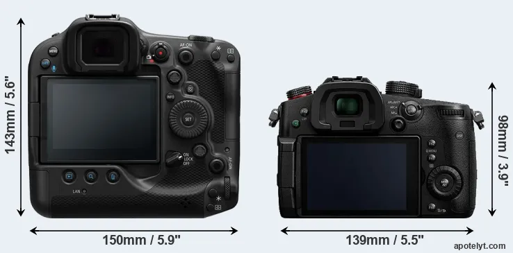 Comparison R3 or GH5s rear