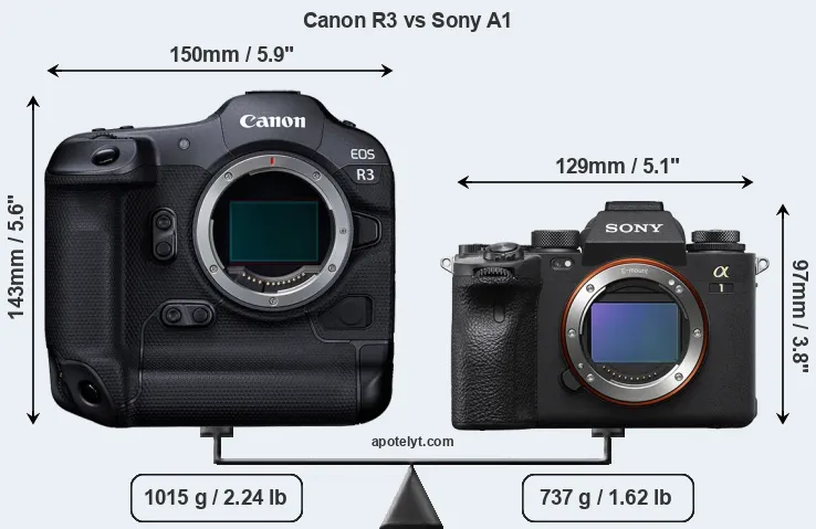 Size Canon R3 vs Sony A1