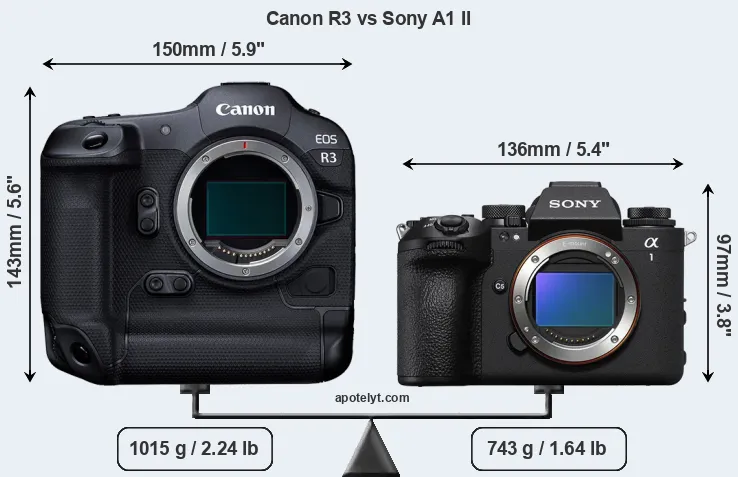 Size Canon R3 vs Sony A1 II