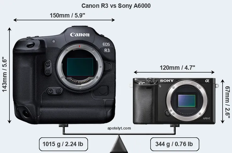 Size Canon R3 vs Sony A6000