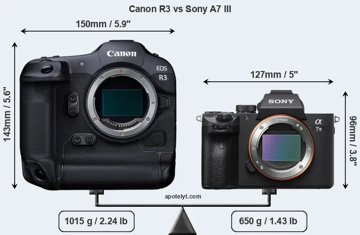 Size Canon R3 vs Sony A7 III