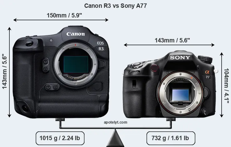 Size Canon R3 vs Sony A77