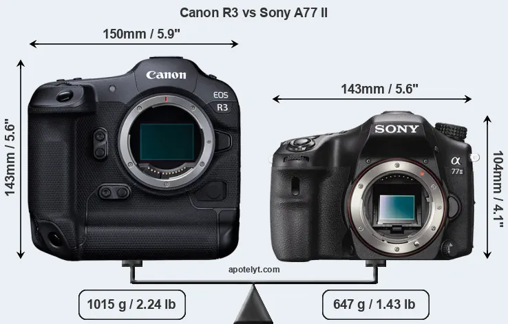 Size Canon R3 vs Sony A77 II