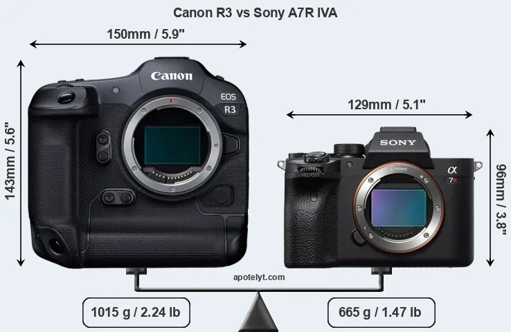 Size Canon R3 vs Sony A7R IVA