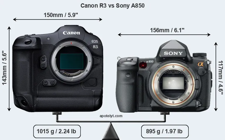 Size Canon R3 vs Sony A850
