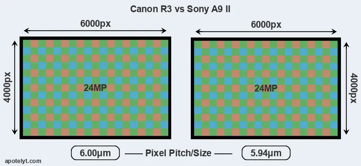 R3 versus A9 II MP