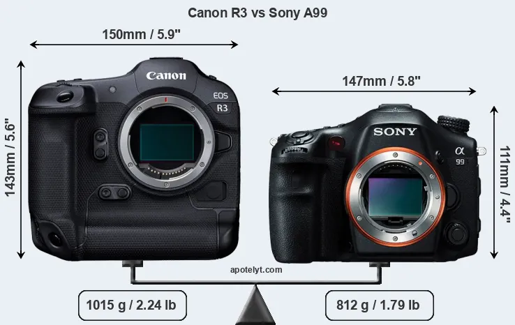 Size Canon R3 vs Sony A99