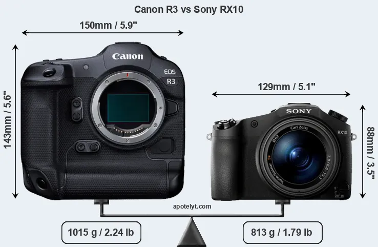 Size Canon R3 vs Sony RX10