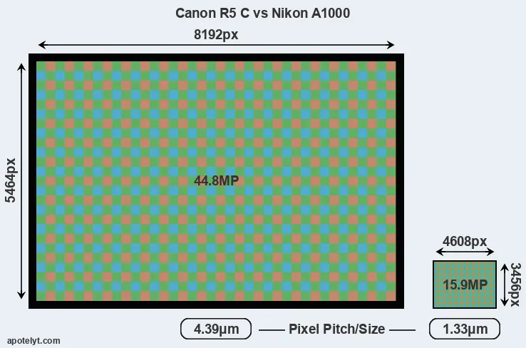R5 C versus A1000 MP