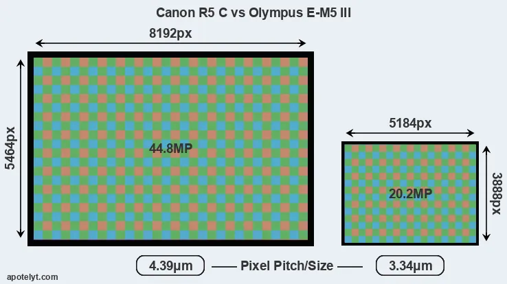 R5 C versus E-M5 III MP