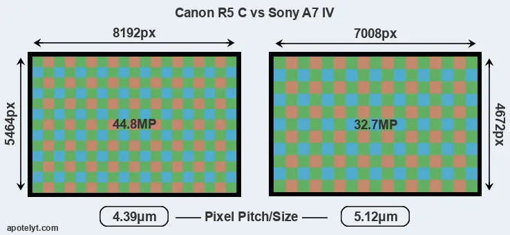 R5 C versus A7 IV MP