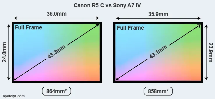 Canon R5 C and Sony A7 IV sensor measures
