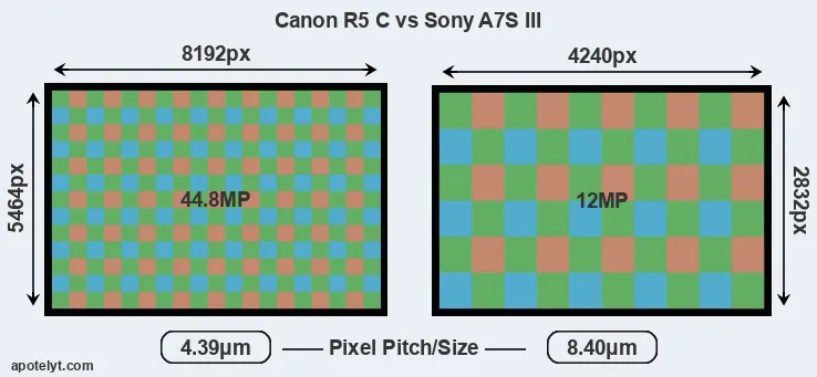 R5 C versus A7S III MP