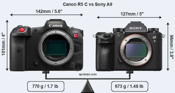 Size Canon R5 C vs Sony A9