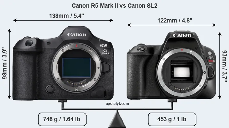 Size Canon R5 Mark II vs Canon SL2