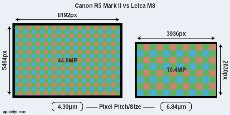 R5 Mark II versus M8 MP