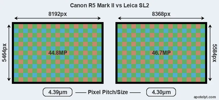 R5 Mark II versus Leica SL2 MP