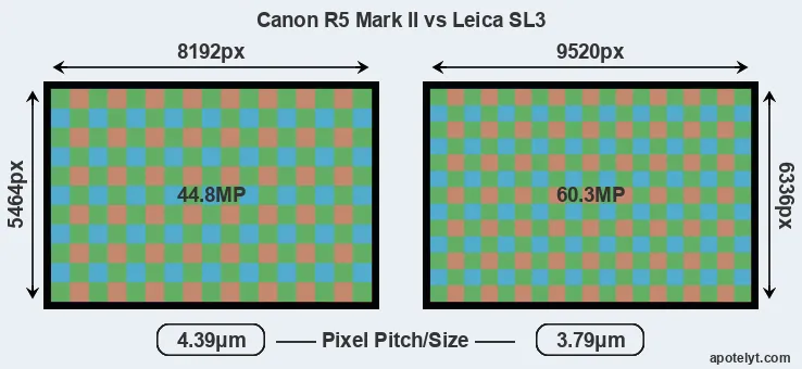 R5 Mark II versus Leica SL3 MP