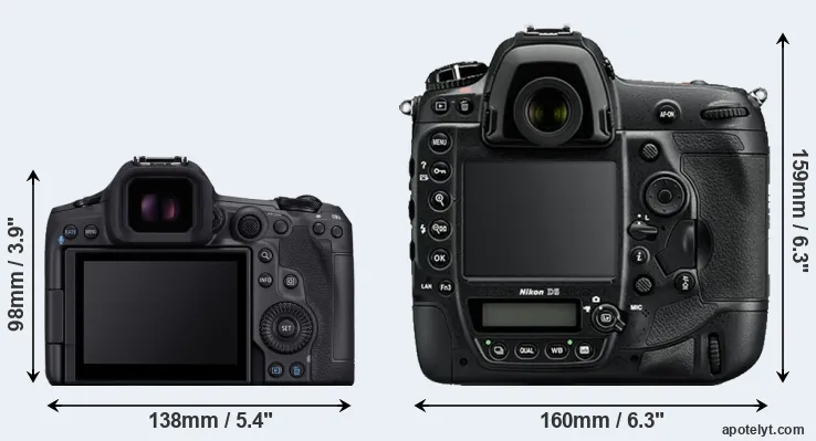 Comparison R5 Mark II or D5 rear