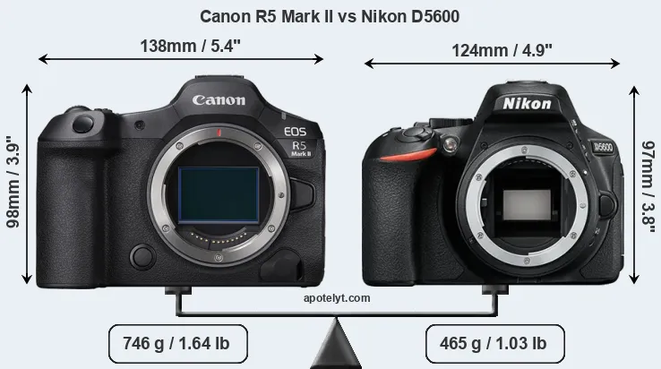 Size Canon R5 Mark II vs Nikon D5600