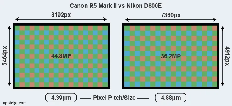 R5 Mark II versus D800E MP