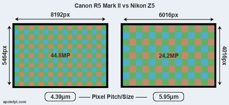 R5 Mark II versus Z5 MP