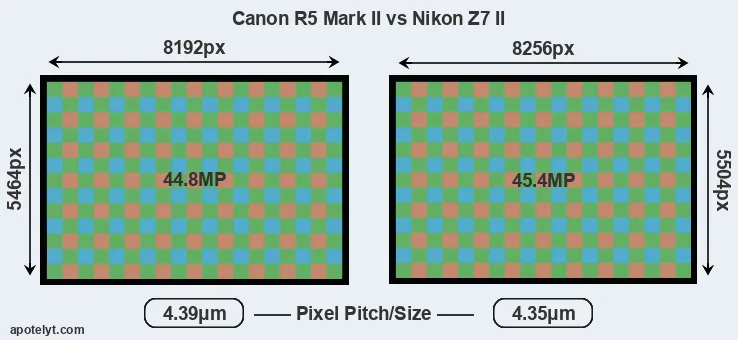 R5 Mark II versus Z7 II MP