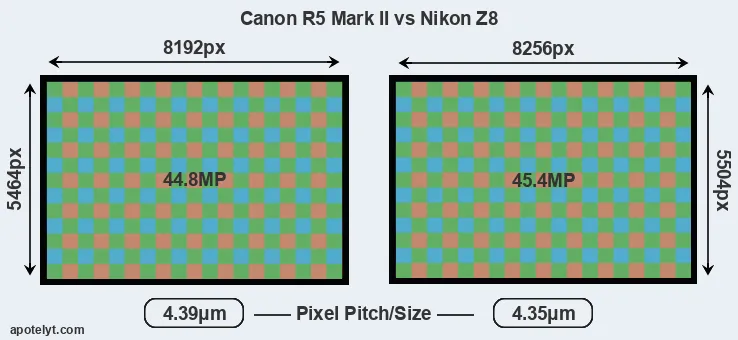R5 Mark II versus Z8 MP