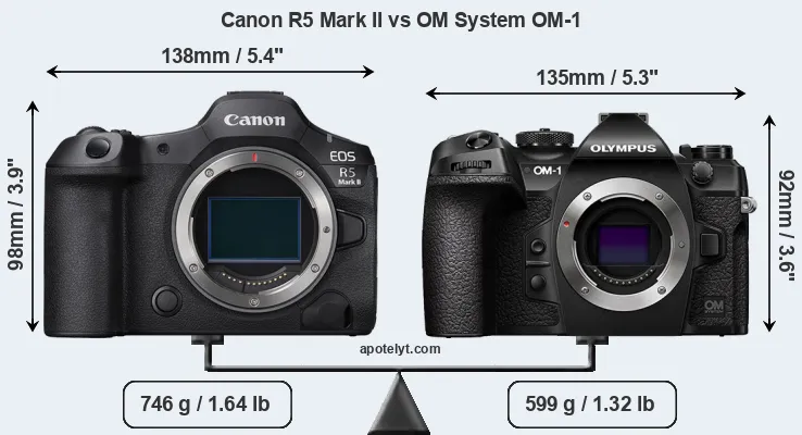 Size Canon R5 Mark II vs OM System OM-1